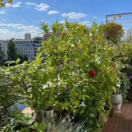Superbe Duplex Paris-rooftop Vue Panoramique דירה